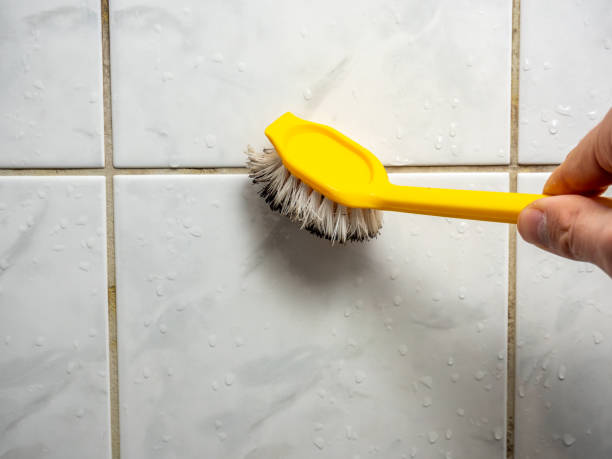 Best Emergency Mold Remediation in Caldwell, TX