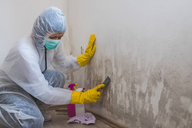 Best Industrial Mold Remediation in Caldwell, TX