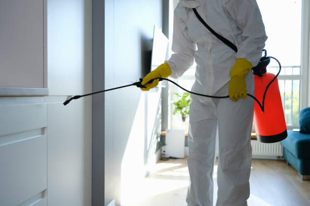 Caldwell, TX Mold Remediation Company