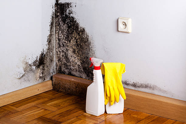 Caldwell, TX Mold Remediation Company